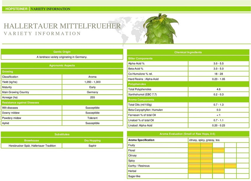 Hallertauer Mittelfrueher